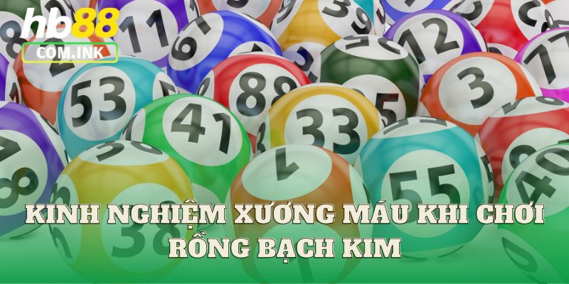 Kinh nghiệm xương máu khi chơi Rồng Bạch Kim